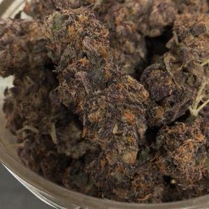 Meet your Posher, Caleb